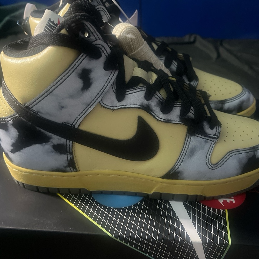 Nike SB DUNKS Hi-Top